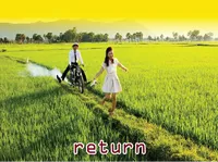 Định nghĩa của từ <b>return</b>
