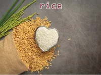 Định nghĩa của từ <b>rice</b>