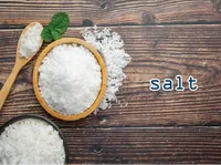 Định nghĩa của từ <b>salt</b>