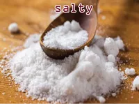 Định nghĩa của từ <b>salty</b>