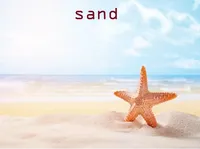 Định nghĩa của từ <b>sand</b>