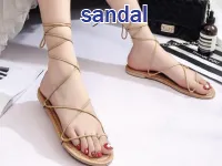 Định nghĩa của từ <b>sandal</b>