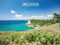 Định nghĩa của từ <b>scene</b>