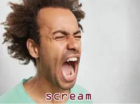 Định nghĩa của từ <b>scream</b>