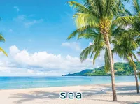 Định nghĩa của từ <b>sea</b>