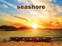 Định nghĩa của từ <b>seashore</b>
