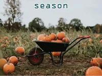Định nghĩa của từ <b>season</b>