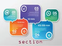 Định nghĩa của từ <b>section</b>