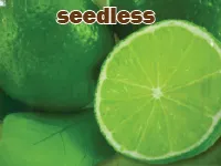 Định nghĩa của từ <b>seedless</b>