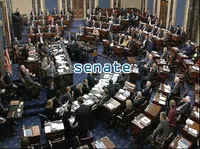 Định nghĩa của từ <b>senate</b>