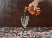 Định nghĩa của từ <b>servant</b>