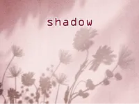 Định nghĩa của từ <b>shadow</b>