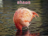 Định nghĩa của từ <b>shame</b>