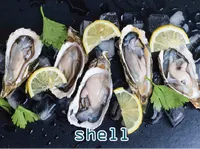 Định nghĩa của từ <b>shell</b>