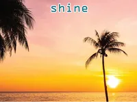 Định nghĩa của từ <b>shine</b>