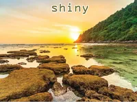 Định nghĩa của từ <b>shiny</b>
