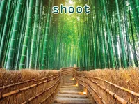 Định nghĩa của từ <b>shoot</b>