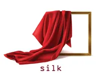 Định nghĩa của từ <b>silk</b>