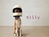 Định nghĩa của từ <b>silly</b>