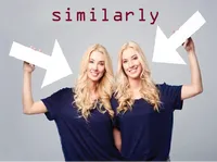 Định nghĩa của từ <b>similarly</b>