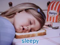 Định nghĩa của từ <b>sleepy</b>
