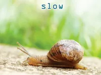 Định nghĩa của từ <b>slow</b>