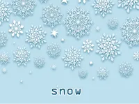 Định nghĩa của từ <b>snow</b>