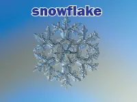 Định nghĩa của từ <b>snowflake</b>