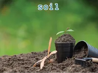 Định nghĩa của từ <b>soil</b>