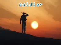 Định nghĩa của từ <b>soldier</b>