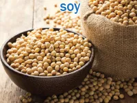 Định nghĩa của từ <b>soy</b>