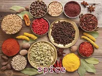 Định nghĩa của từ <b>spice</b>
