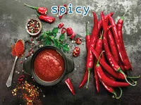 Định nghĩa của từ <b>spicy</b>