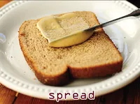Định nghĩa của từ <b>spread</b>