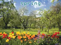 Định nghĩa của từ <b>spring</b>
