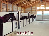Định nghĩa của từ <b>stable</b>
