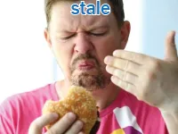 Định nghĩa của từ <b>stale</b>