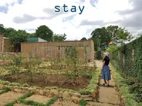 Định nghĩa của từ <b>stay</b>