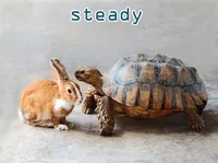 Định nghĩa của từ <b>steady</b>