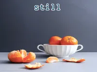 Định nghĩa của từ <b>still</b>
