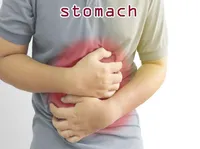 Định nghĩa của từ <b>stomach</b>