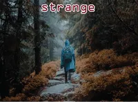 Định nghĩa của từ <b>strange</b>