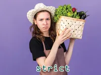 Định nghĩa của từ <b>strict</b>