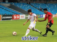 Định nghĩa của từ <b>striker</b>