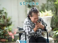 Định nghĩa của từ <b>stroke</b>