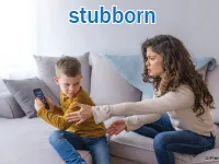Định nghĩa của từ <b>stubborn</b>