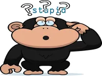 Định nghĩa của từ <b>stupid</b>