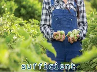 Định nghĩa của từ <b>sufficient</b>