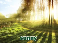 Định nghĩa của từ <b>sunny</b>