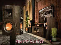 Định nghĩa của từ <b>surround</b>